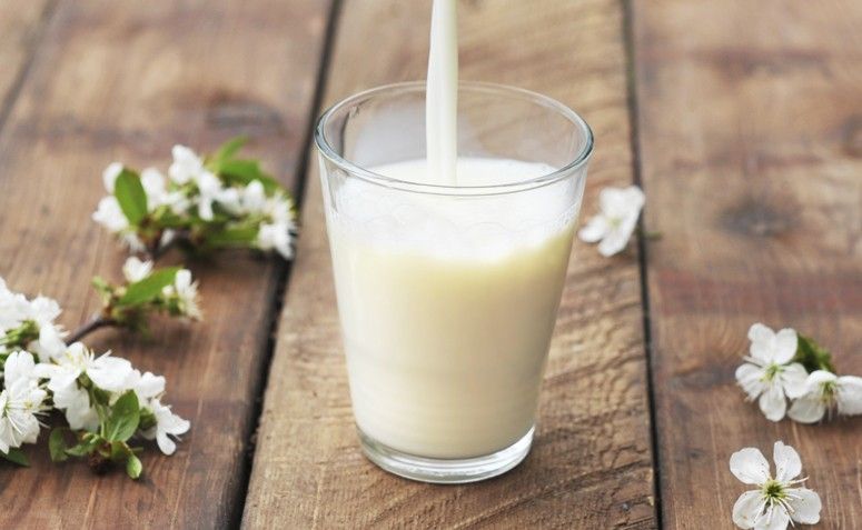 Conheça 10 alternativas vegetais ao leite, saudáveis e muito saborosas