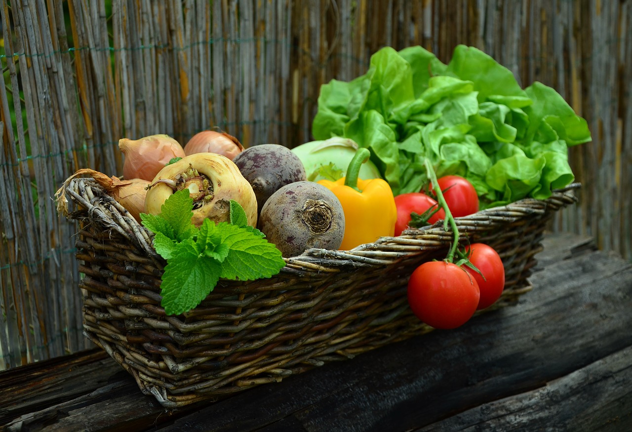 Agricultura biológica – quais os benefícios e os motivos para consumir produtos biológicos?